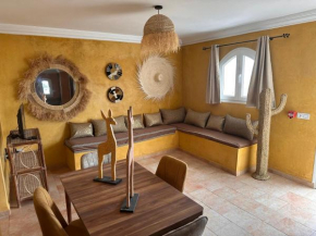The Mogador's Oasis